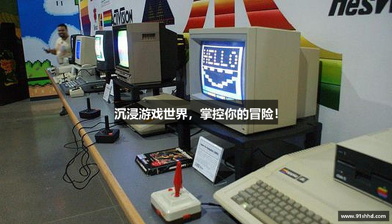 沉浸游戏世界，掌控你的冒险！